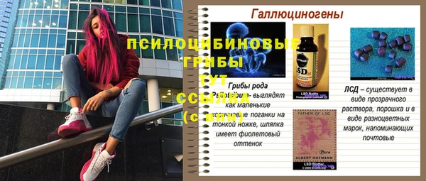 apvp Аркадак