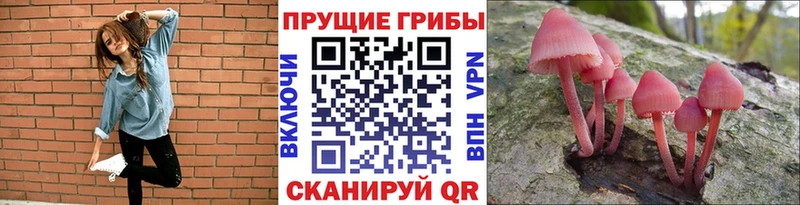 Псилоцибиновые грибы MAGIC MUSHROOMS где можно купить Евпатория